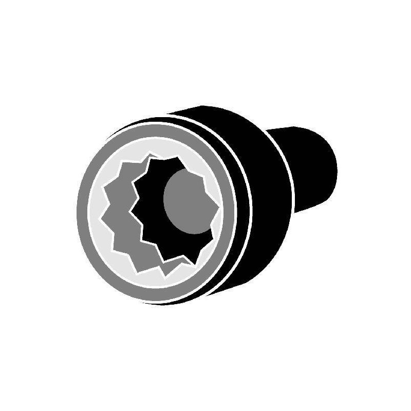 KIT VIS DE CULASSE VW 2L TDI CFFB / 1.6 TDI 12x1.75x137 Q10